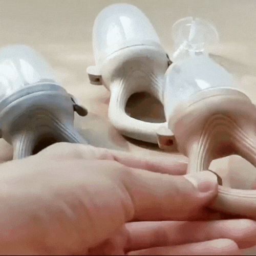 TinyTaste Fruit Nibbler