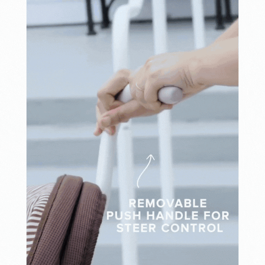 3-in-1 Foldable Tricycle with Canopy