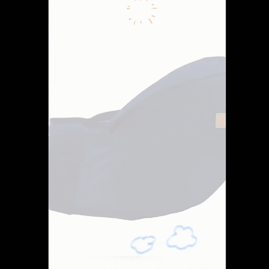 Baby Hip Seat Carrier