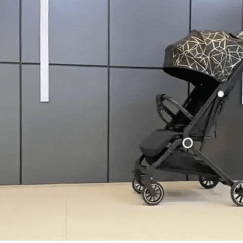 Travel Lite Stroller
