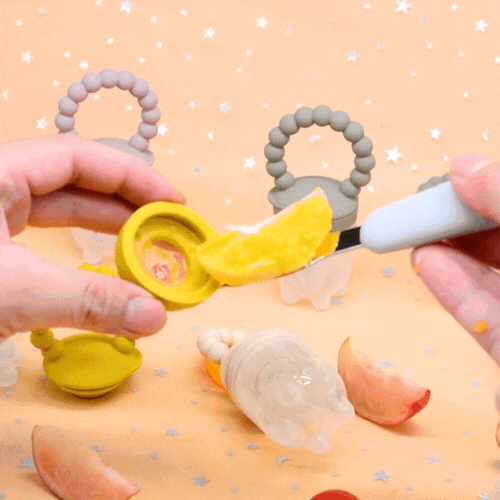 Mommilife Pacifiers Fresh Fruit Feeder
